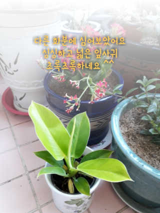박루씨님이 올린 리뷰 사진 2