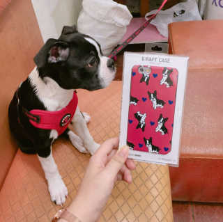 쪼랄님이 올린 리뷰 사진 1