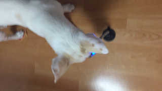J님이 올린 리뷰 사진 4