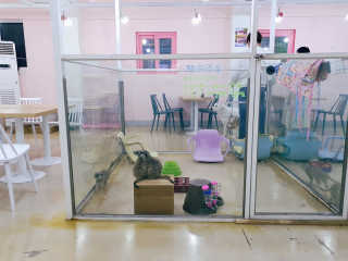 은비님이 올린 리뷰 사진 2