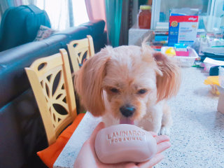 꼬깜맘님이 올린 리뷰 사진 2