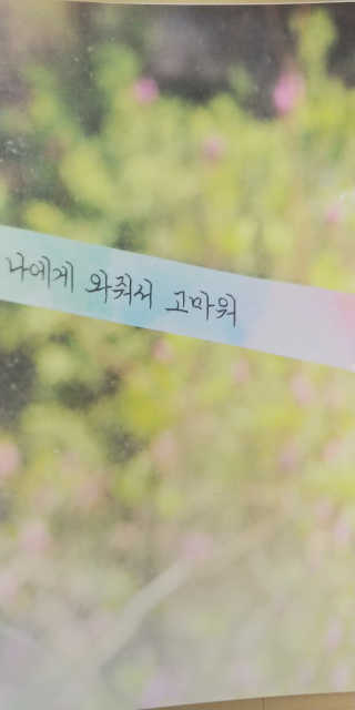 우성이맘님이 올린 리뷰 사진 2