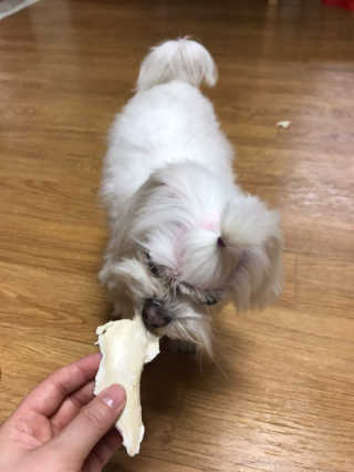 최자영님이 올린 리뷰 사진 4