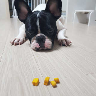 다사요님이 올린 리뷰 사진 3