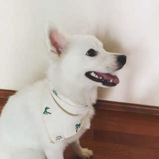 채연님이 올린 리뷰 사진 3