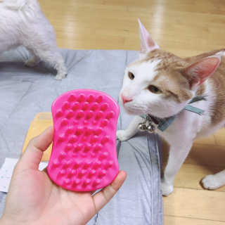 Canteen님이 올린 리뷰 사진 4