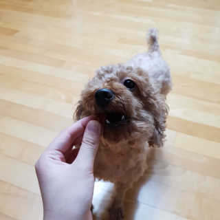 유나님이 올린 리뷰 사진 1