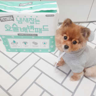 페츠모아 냄새잡는 요술배변패드 — 5점을 준 리뷰어가 2020년 3월 올린 사용 사진
