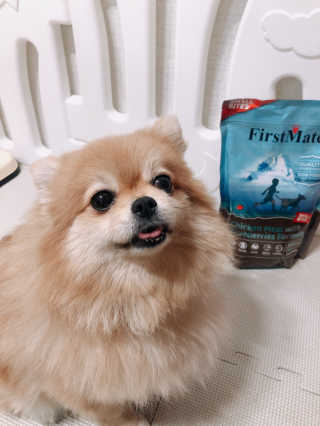 꽁이씨님이 올린 리뷰 사진 1