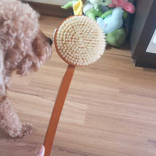 유채린님이 올린 리뷰 사진 1
