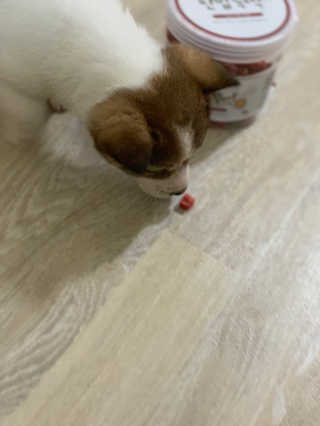 가뺑님이 올린 리뷰 사진 3
