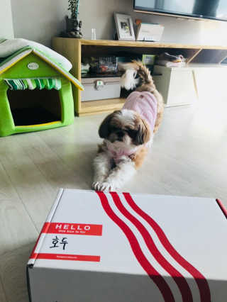 살구색다리님이 올린 리뷰 사진 1