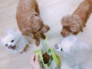 유블님이 올린 리뷰 사진 1