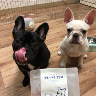 불독키우는개엄마❤️님이 올린 리뷰 사진 1