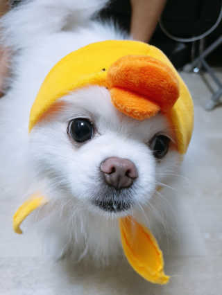 황선아님이 올린 리뷰 사진 3