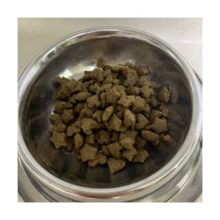 그린펫푸드 인섹트캣 글루텐프리（1.2KG） — 5점을 준 리뷰어가 2019년 8월 올린 사용 사진