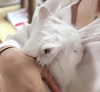 min0님이 올린 리뷰 사진 2