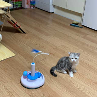 이가빈님이 올린 리뷰 사진 1