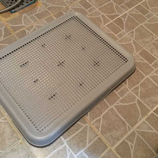 문수연님이 올린 리뷰 사진 1