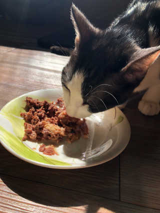 콩별님이 올린 리뷰 사진 2
