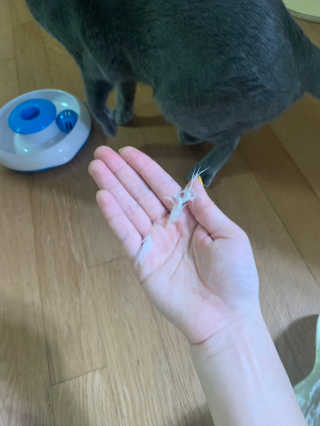 유자몬님이 올린 리뷰 사진 3
