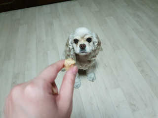 SohyeonLee님이 올린 리뷰 사진 3