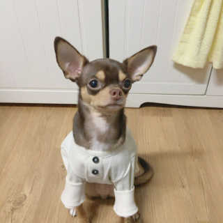 이하나님이 올린 리뷰 사진 4