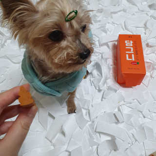 솜희님이 올린 리뷰 사진 2