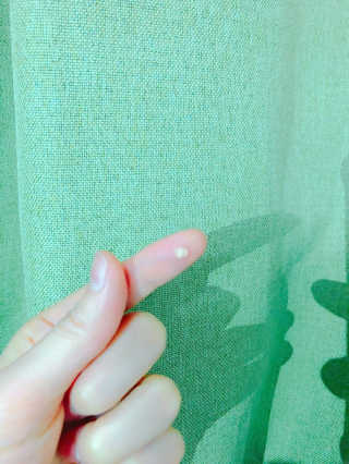 용아잉님이 올린 리뷰 사진 2