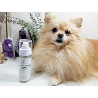 Peepingpomeranian님이 올린 리뷰 사진 1