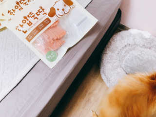 펫토리아 한입뚝딱 국내산 강아지간식 BEST 5종 — 5점을 준 리뷰어가 2019년 5월 올린 사용 사진