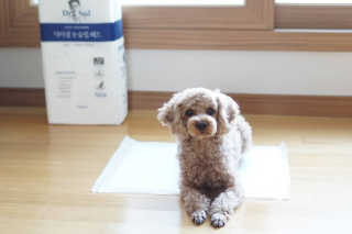 윤디캔디님이 올린 리뷰 사진 2