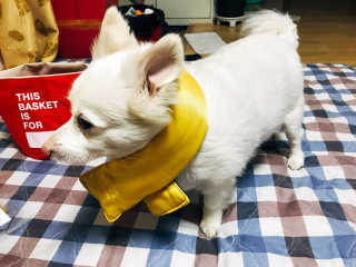 빼꼬미누나님이 올린 리뷰 사진 2