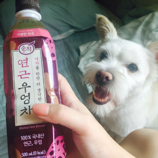 윤빵님이 올린 리뷰 사진 1