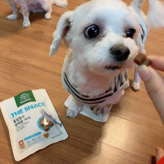 로초눈님이 올린 리뷰 사진 2