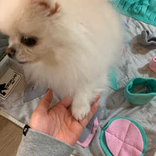 보라미90님이 올린 리뷰 사진 2