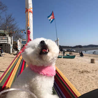 다영꼰듀님이 올린 리뷰 사진 3