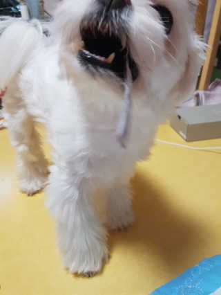 뽀오오옹님이 올린 리뷰 사진 3