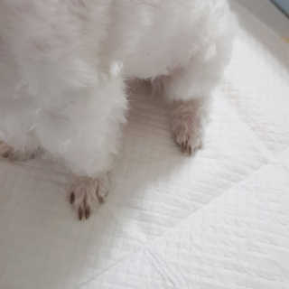 빡찌님이 올린 리뷰 사진 3