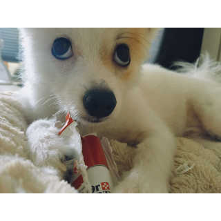 SeungYeonSeo님이 올린 리뷰 사진 2