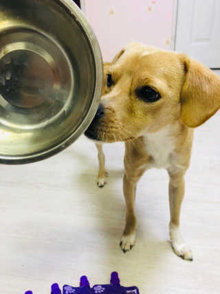 진빵님이 올린 리뷰 사진 2