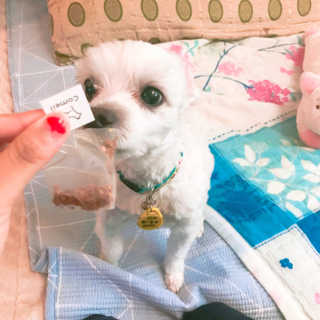 서주은님이 올린 리뷰 사진 4
