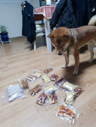 [펫토리아] 뚝딱뚝딱 400g 강아지 간식 베스트5종 — 5점을 준 리뷰어가 2019년 1월 올린 사용 사진