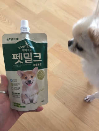 [빙그레] 에버그로 생유산균 1봉（10포입）+펫밀크2팩 — 3.5점을 준 리뷰어가 2019년 5월 올린 사용 사진