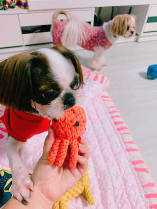 짱츄들님이 올린 리뷰 사진 3