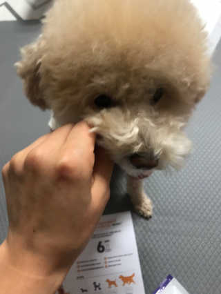 모모맘님이 올린 리뷰 사진 4