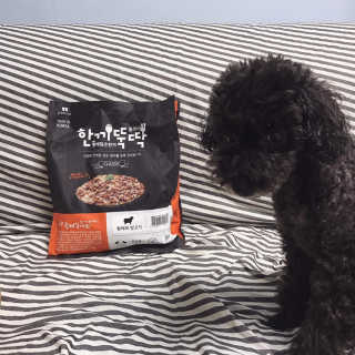 마카뇽님이 올린 리뷰 사진 1
