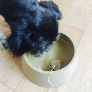 빛나님이 올린 리뷰 사진 4