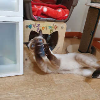 숑이님이 올린 리뷰 사진 4