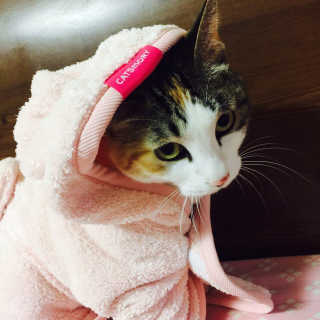우블리님이 올린 리뷰 사진 1